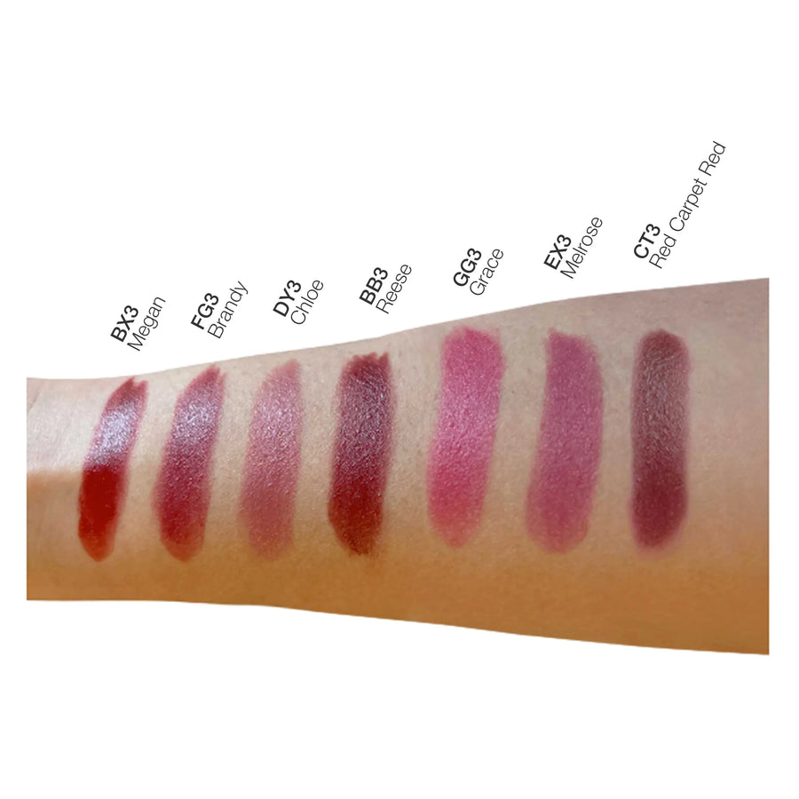 Luxury Matte Lipstick Collection: Vivid Lip Colors for Contemporary Elegance!
